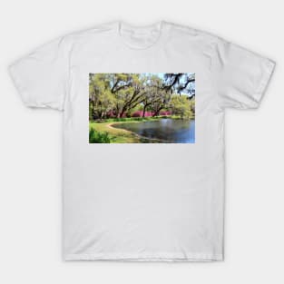 Beauty By The Pond T-Shirt